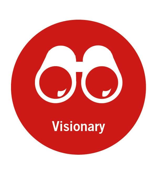 visionary